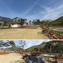 강여울 숲 이미지