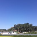 [농가주택]귀촌 1번지 청양 동강오토캠프장 앞 마을 농가주택(방갈로포함)전세 이미지