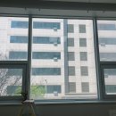 동문세탁소 | 일산블라인드 커튼 동문굿모닝힐2차 오피스텔 설치