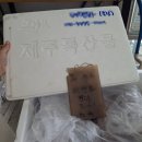 엄브로제주점 | 제주 한치낚시 선상 출조 후기