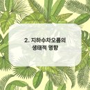 자연지하수