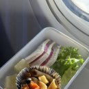 싸다 (go) | 튀르키예 여행기(1) (부제: 튀르키예는 오늘이 제일 싸다) 김해공항에서 상해 경유 이스탄불까지