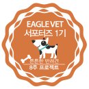 (주)헤파토 | 강아지 영양제 / Rx 비타민 _ 건강한 반려동물 프로젝트 8주간의 변화