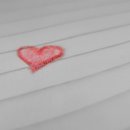 진짜노가리호프 이미지