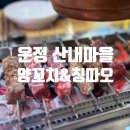 칭따오 | [파주맛집] 운정 산내마을 양꼬치&amp;칭따오 후기