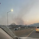 안양예술공원 입구_하 | 성심당 딸기시루 오픈런/애완토끼🐰/샤로수길 나들이/배구직관/펜싱체험(3/1~3/24)