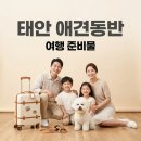 솔빛펜션 | 태안 애견동반 펜션, 반려견과 행복한 추억 만드는 완벽 가이드