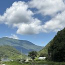 화순우체국 | 화순여행.힐링여행화순.#화순동복연둔리숲정이.화순야사리 은행나무.야사리 느티나무.