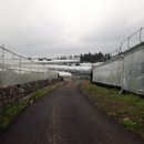 도순동-2 이미지