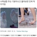 매일크리스마스 이미지