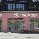 캑티가챠샵(CACTI GACHA SHOP) 이미지
