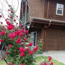 아름드리펜션 이미지