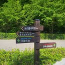 공주여행 가볼만한곳 공주산림휴양마을 방문기