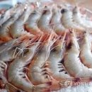 대하 이미지