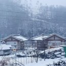 슬기로운 펜션 이미지