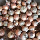 모두케어 이미지