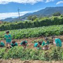 아이솔 어린이집 이미지