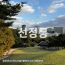 정릉69 | 도심 속 휴식처가 되어주는 선정릉 방문 후기 서울가볼만한곳 추천