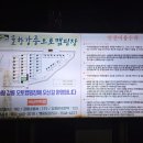 솔향가득 봉화캠핑장 | 솔향강릉카라반캠핑장 (강릉경찰수련원 강릉카라반) 가족여행 후기