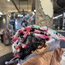 더블유파마 이미지