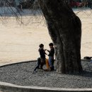 장흥서초등학교 이미지