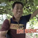 농부의 열매 이미지