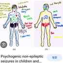 심인성경기파장과 격변의 감정들 이미지