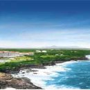 금호리조트(주) 이미지