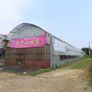 행주화원