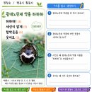 짬동시 활동지 「광대노린재 약충 하하하」 이미지