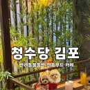 6871 | 김포 애견동반 카페 청수당김포 후기｜설빔 사진 남기기 좋은 한옥무드 대형카페