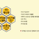 포포아일랜드 이미지