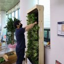 경기도 안양시 동안구청 이미지