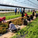 덕음농장 이미지