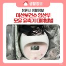 마산보건소 이미지