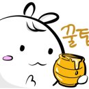 동양 지물포 이미지