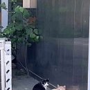 가락농수산물