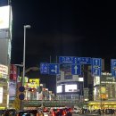 장거리pc | 겨울 여행 캐리어 추천 28인치 던리 장거리 여행용 사이즈 비교 후기