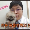 하안동물병원 이미지