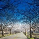 백전농장 이미지