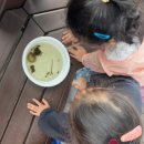 선진유치원 이미지