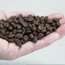 커피바리스타2급(수) 이미지