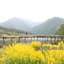 솔빛