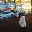 여수 계획있는 게녀들을 위한 추천 비추천 이미지