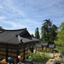 산수미 Daum카페