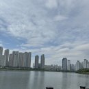 바이독한 이미지