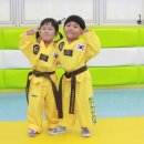 금메달 태권도 교육관 이미지