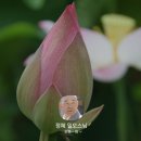 클레오파트라한의원 이미지