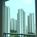 정우크리닝 이미지