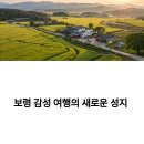 천북양조장카페 | 보령 감성 여행의 새로운 성지, 청보리밭과 천북카페 코스 추천
